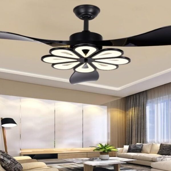 Decorative Fans