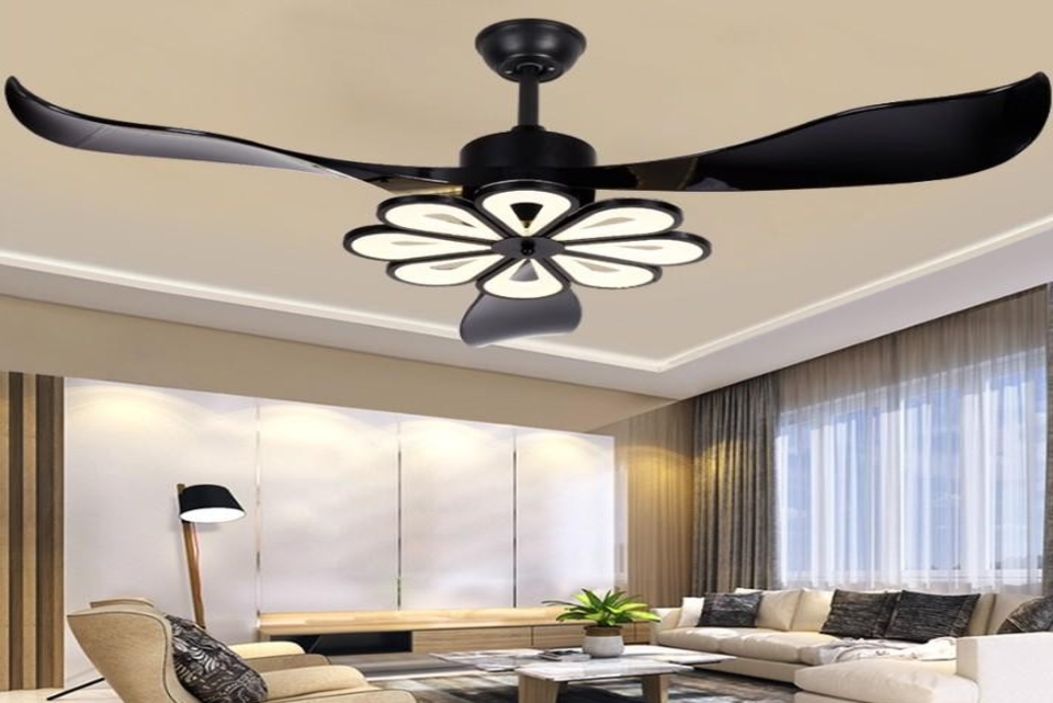 Decorative Fans