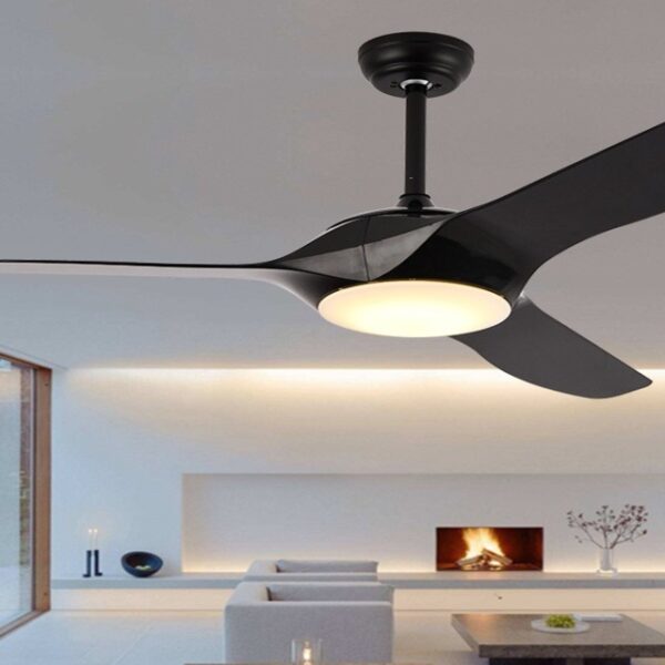 Decorative Fans